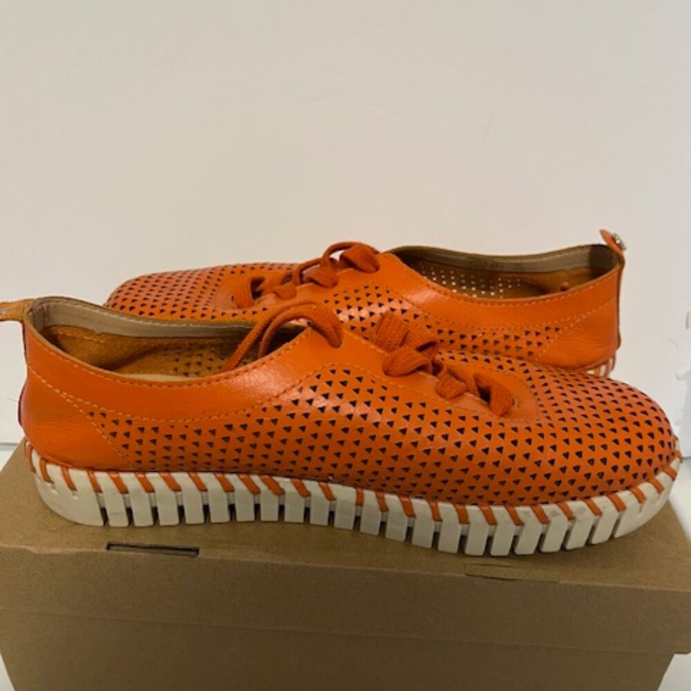 Bottero perforated leather sneaker.